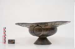 Foto von Bronzebreitrandfußschale (NHMW-PRAE-025274)